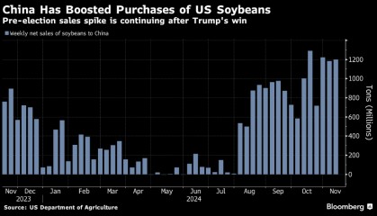 外媒:美国大选以来,中国继续购买美国大豆