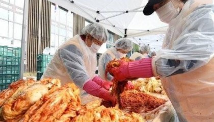 韩国大白菜价格飙升背后的故事:一颗白菜如何卖到37元人民币?