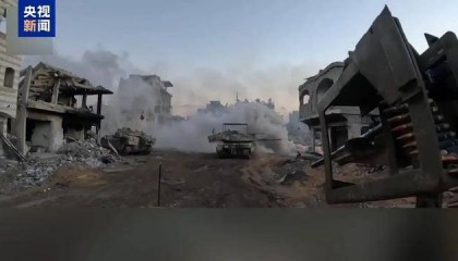 以军宣布:奥萨马·加尼姆被打死