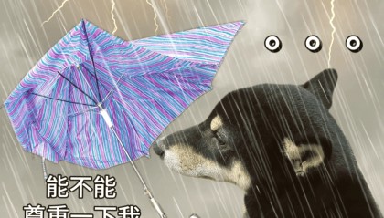 暴雨!大暴雨!深圳开启“集中倒水”模式,广东或有5波……