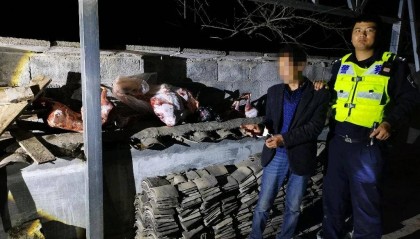 重庆巫溪一男子在自家田地放置捕兽夹,非法狩猎野生保护动物被抓获