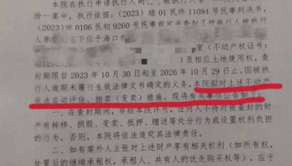 男子在海南的空置房产差点被“乌龙法拍”!法院致歉:被执行人与房主同名同姓,已纠正