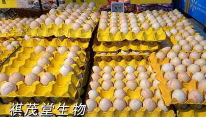 八月蛋鸡价格最新行情:全国多数鸡蛋价格上涨明显,下半年蛋价行情走势如何?