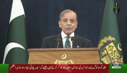 巴总理发表停火讲话:这是军队和全民族的胜利