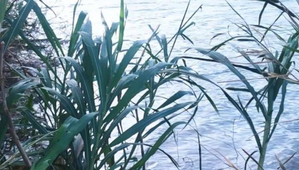 福建15岁男孩因早恋被女生家长扇耳光后失联,当地:已溺水身亡