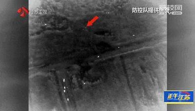 300斤大野猪被迅速捕猎!南京老山里有一队“野猪赏金猎人”