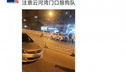 男子发朋友圈称春节执勤交警为“狼狗队”,被传唤后手写道歉信:对不起,你们辛苦了