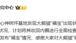 中国大熊猫保护研究中心回应“‘福宝’出现状况异常”:正密切观察其状况,计划将其收回内圈进行全面检查