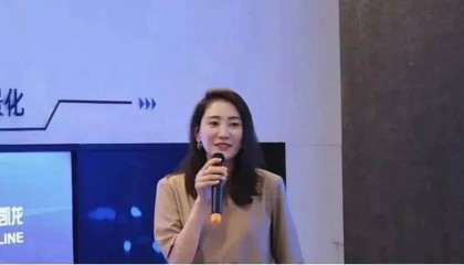 家具龙头红星美凯龙前美女高管虚增服务费套现500万被抓,总经理车建新如今也被拘留