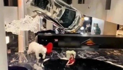 确认了:夫妻俩已被封禁!彻底凉凉