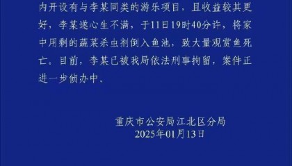 重庆警方再通报公园大量观赏鱼死亡:一男子将蔬菜杀虫剂倒入鱼池,被刑拘