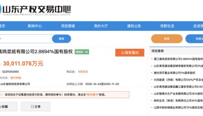 山东财欣投资拟退出湛江晨鸣,2023年曾对其增资3亿元