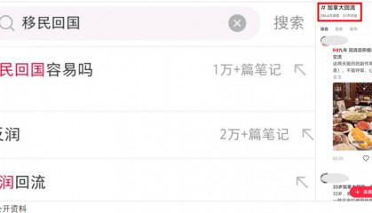 移民的中产,正排队回国