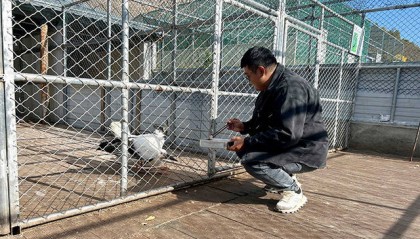 内蒙古阿荣旗:林海深处的“生命驿站”