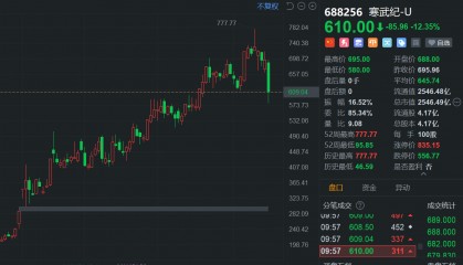 寒武纪回应早盘股价大跌:股价受综合因素影响,公司不太了解机构对业绩预告的看法