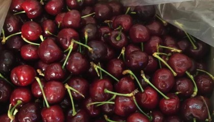 车厘子暴跌80%,为何还是没人买?这4个原因很现实,难以改变