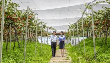 邮银协同:点燃产业新活力