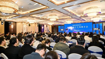 河南省财政厅:将谋划储备一批高质量、高收益专项债项目