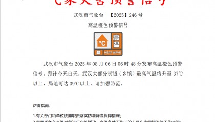 最新消息:28℃!暴雨即将抵达武汉