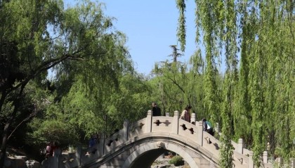 现在报团去北京旅游六日游多少钱一个人?现在报团去北京六日游多少钱人民币