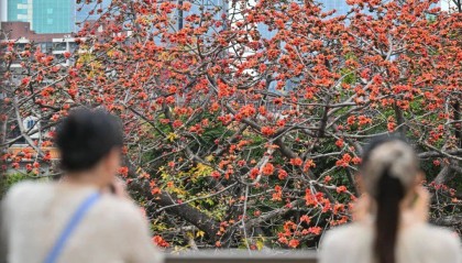 冷空气+暴雨来袭!广州低至11℃,就在本周……