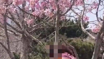 事发劳动公园!这4名女子,你们这么做不脸红吗?