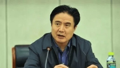 正部级罗保铭,被逮捕