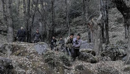 揭秘“野猪猎捕队”丨海拔3000米高山密林,记者跟队直击猎捕野猪全过程