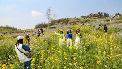 “气温过山车”!明天重庆最高33℃,后天雷雨+大风