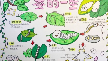 一年卖出1亿条虫!迷倒全国“10后”的小生意,有人年入千万