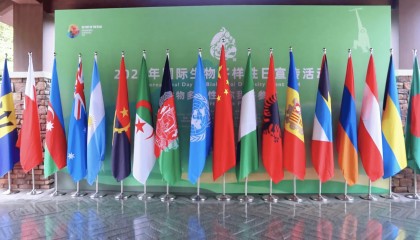 生态环境部:昆明生物多样性基金预计启动,今年将安排5000万元人民币