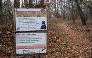 日本遭遇“熊灾”!已致10人死亡,创历史新高