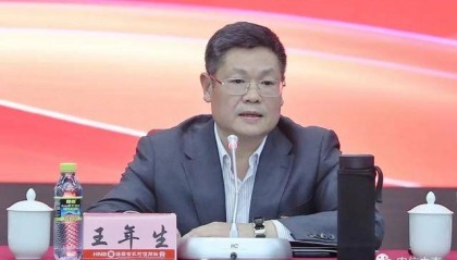 中央巡视组进驻期间，王年生被查