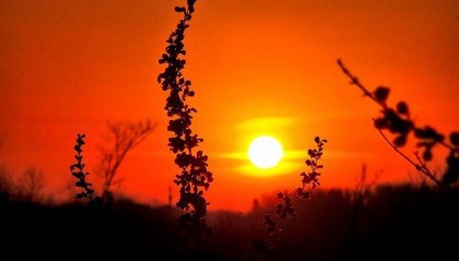 抬头看!北京清晨的天空中挂着一轮红彤彤的太阳