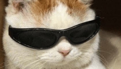 “不亚于春节回家”!凌晨5点,深圳有人已经堵在路上……