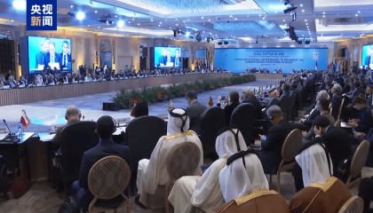 埃及外长:任何情况下都不接受巴勒斯坦人被迫迁移