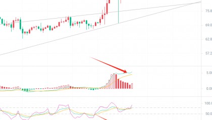 币圈院士:2024.3.11莱特币(LTC)最新行情分析参考