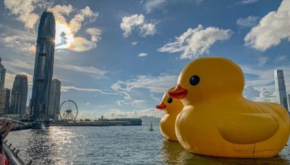 报团去港澳旅游3天大概多少人民币?舒适!去港澳旅游手机需要开通什么?