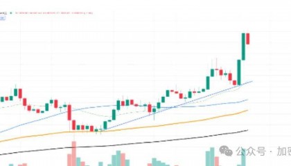 PEPE涨幅达175%,创下历史新高,能否冲击200%?ETF 推动Meme币爆发式增长