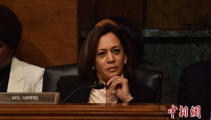 为何不是哈里斯?