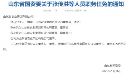 山东又组建一家新国企,董事会成员确定