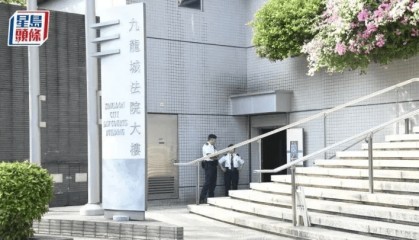 香港理工大学22岁内地学生踢室友猫致其死亡,被判5个月监禁,法官:文明社会不容虐待动物