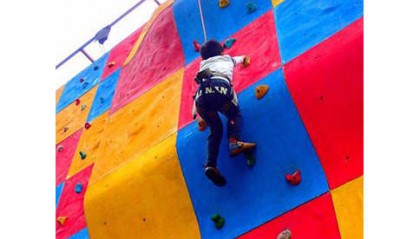 素质拓展器材在哪买?