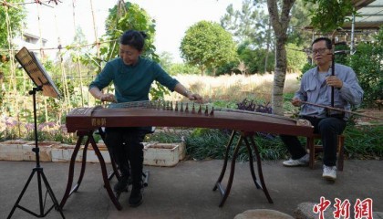 六旬台胞在鄂乐享田园生活:找到归心之所