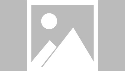 金毛犬“李墩墩”在餐馆遭到殴打后死亡?当地警方已介入