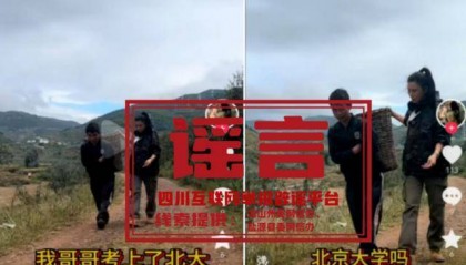 弟弟卖苹果供北大哥哥读书?处理结果公布