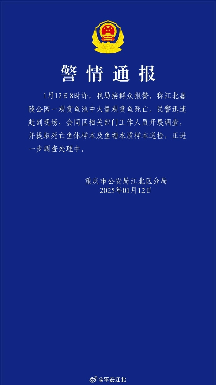 重庆观音桥步行街观赏鱼突然大量死亡，死鱼装满30余编织袋，警方回应