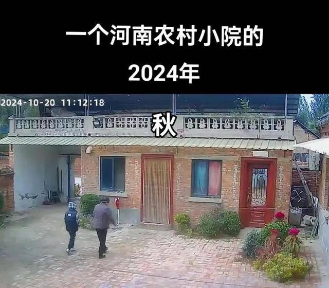 “原来年兽是我自己”，监控记录下中国人过年的聚散：像做了一场热闹的梦