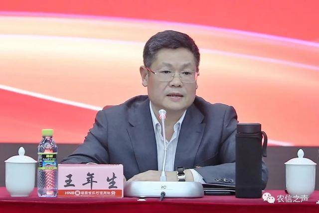 中央巡视组进驻期间，王年生被查