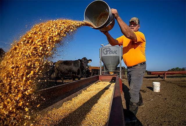 又输给了李成钢,贝森特承诺:美方不再考虑对华加征100%关税